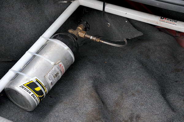 Evolution Revolution - Image 6