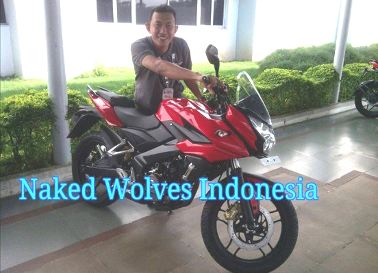 Bajaj Pulsar 200NS-based touring bike spied - Image 2