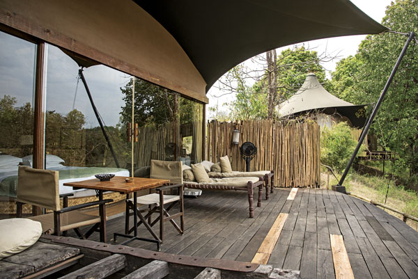 Born to be wild - Image 1