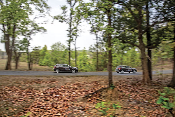 Born to be wild - Image 2