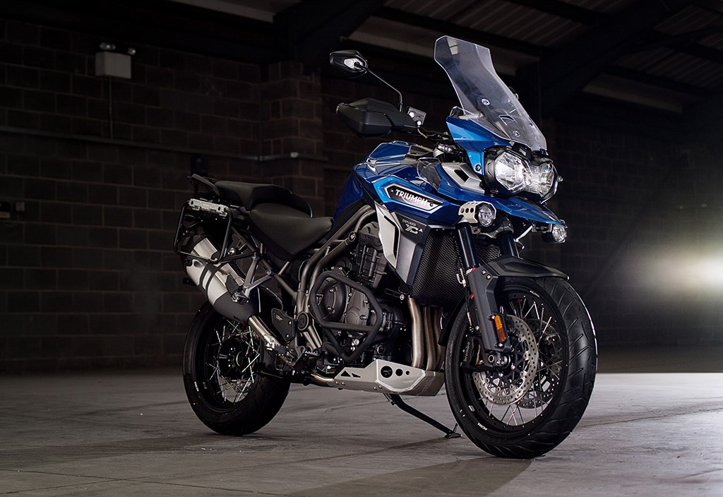 New Tigers Exploring - Image 1