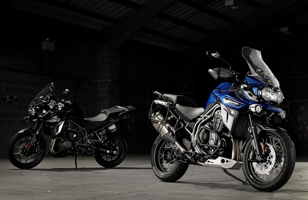 New Tigers Exploring - Image 2