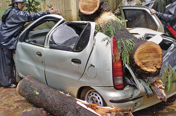 Car insurance simplified - Image 3