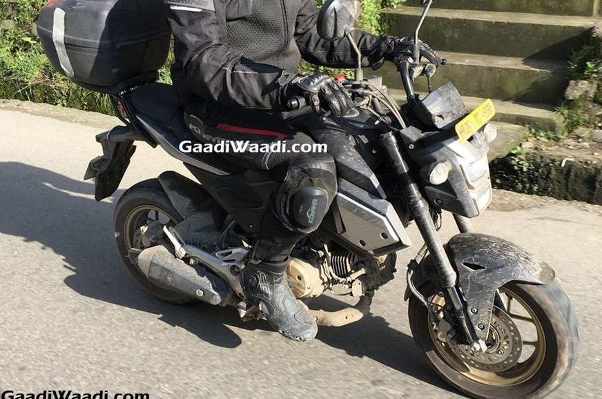 Honda Scoopy, MSX 125 ‘Grom’ caught testing in India - Image 1