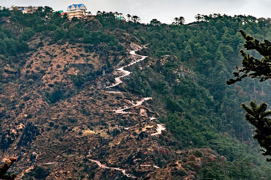 70 years of Land Rover: Some like it rough - Image 3