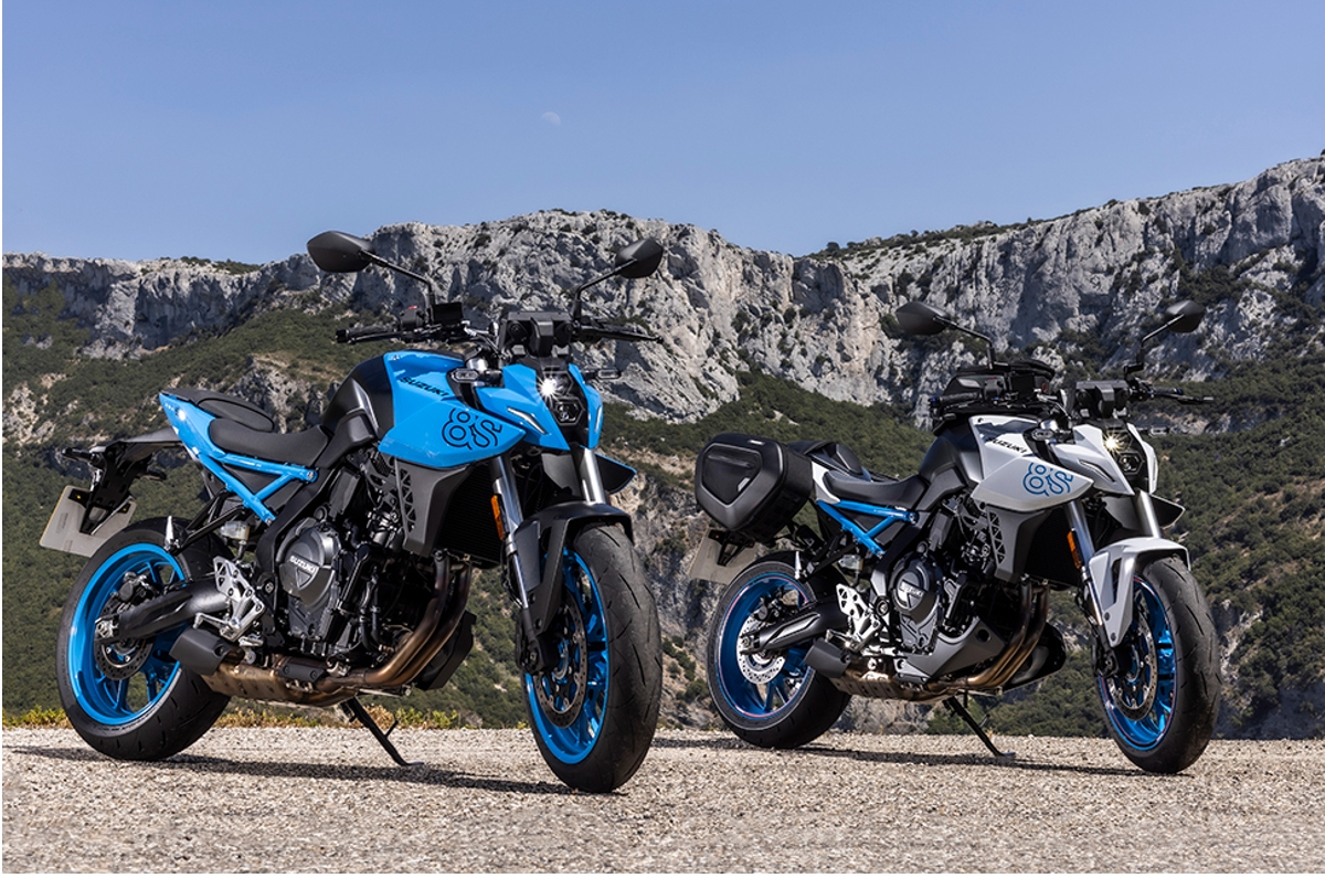 Suzuki GSX-8S naked bike revealed.