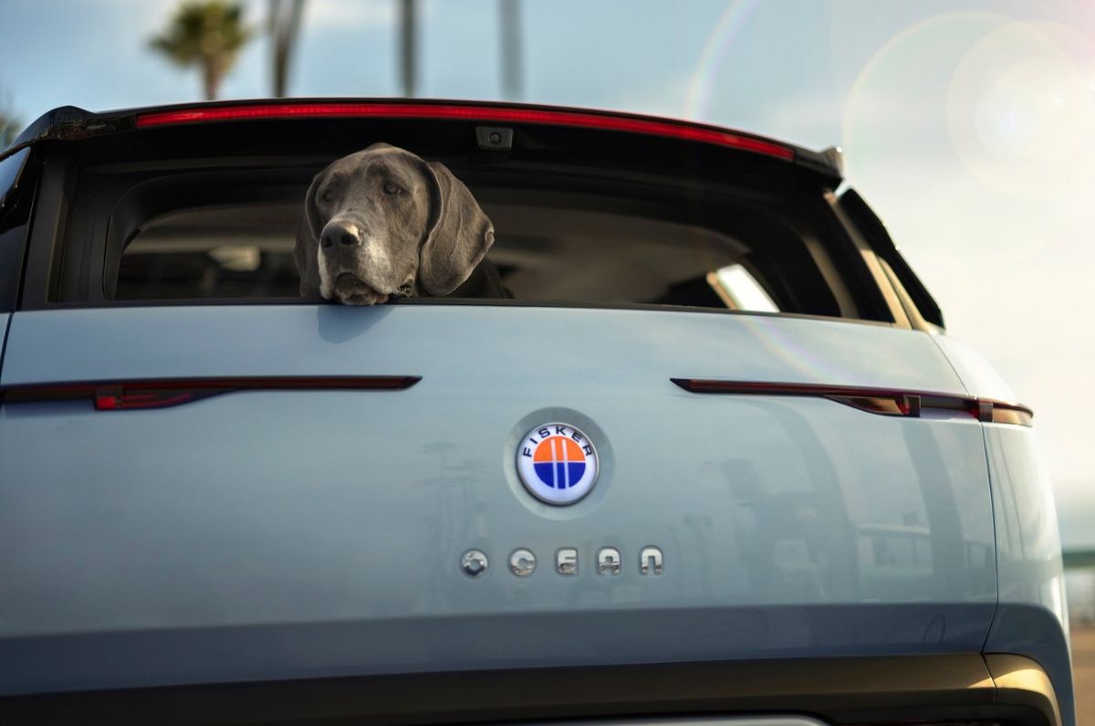 Fisker Ocean Electric SUV doggie window