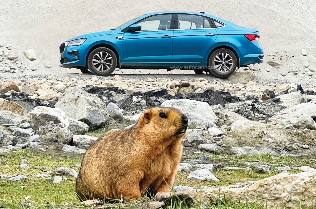 Skoda Slavia, Skoda Kodiaq at Ladakh