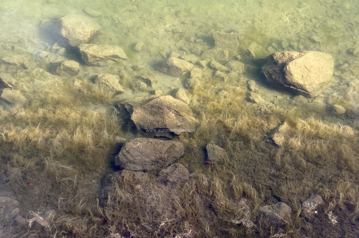 Honda Drive to Discover 12- Honda Elevate Honda Drive to Discover 12- Honda Elevate