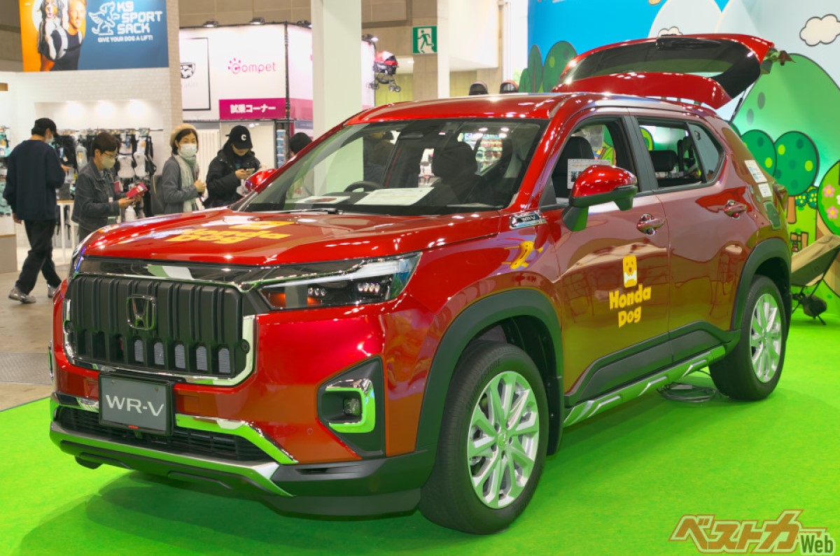 Honda Elevate dog edition