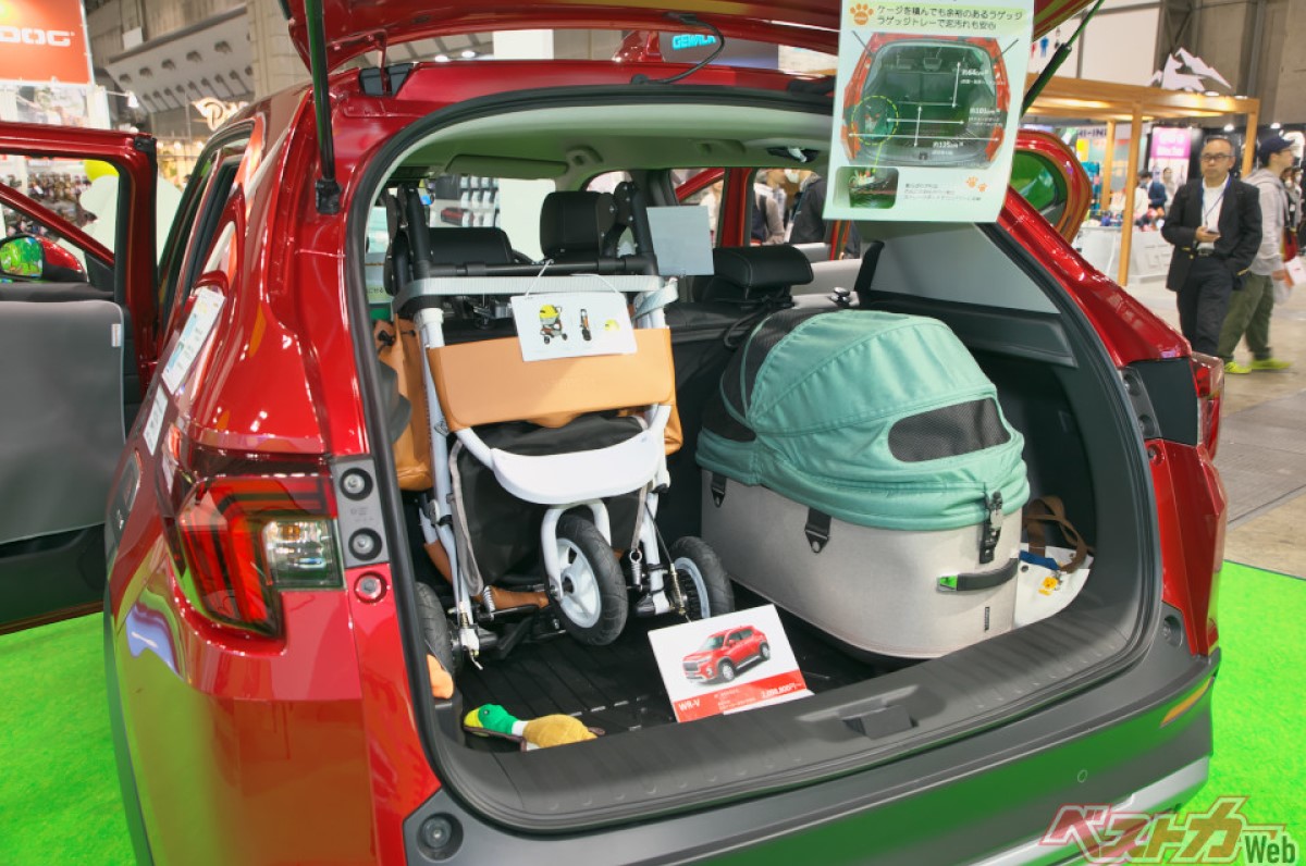 Honda Elevate dog edition