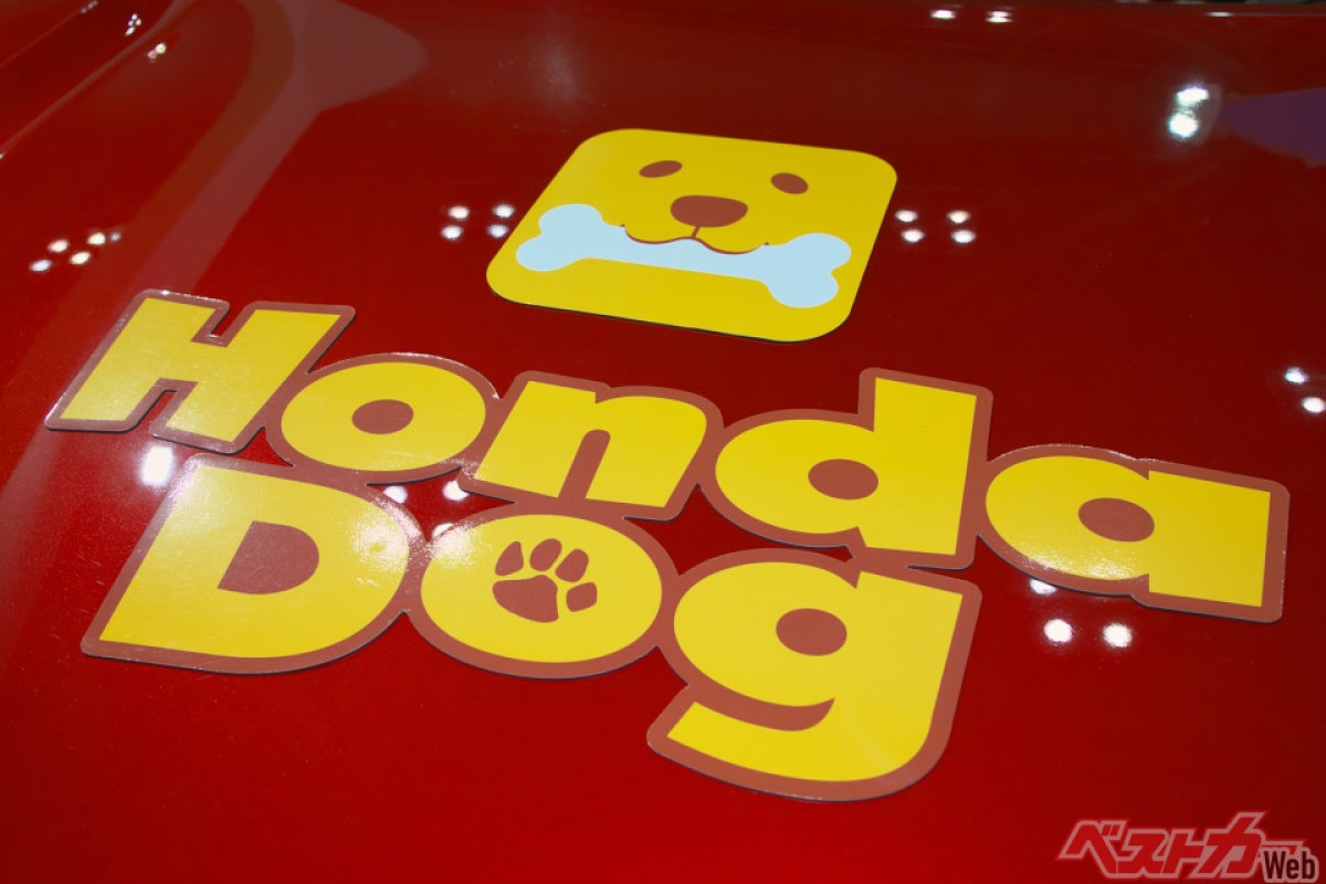 Honda Elevate dog edition
