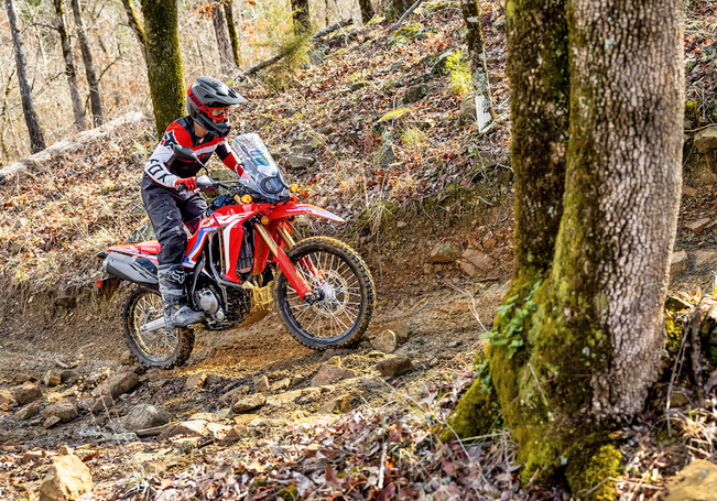 Honda CRF300 Rally being evaluated for India launch