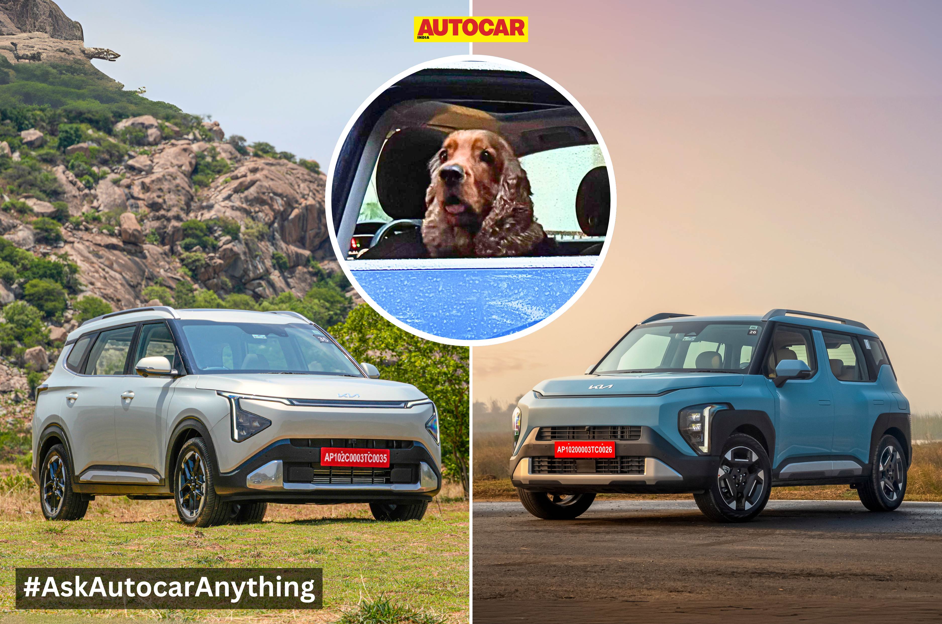 Kia Syros and Carens Clavis good for dogs