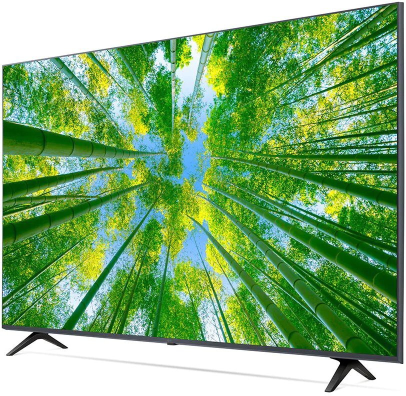 LG   (65 inch) Ultra HD (4K) (65UQ8040PSB)