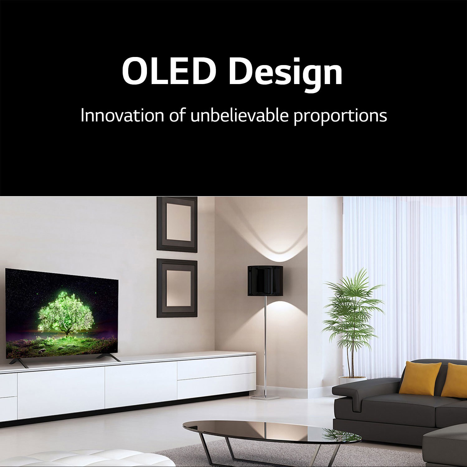 LG  OLED A1 Series (65 inch) Ultra HD (4K) (OLED65A1PTZ)