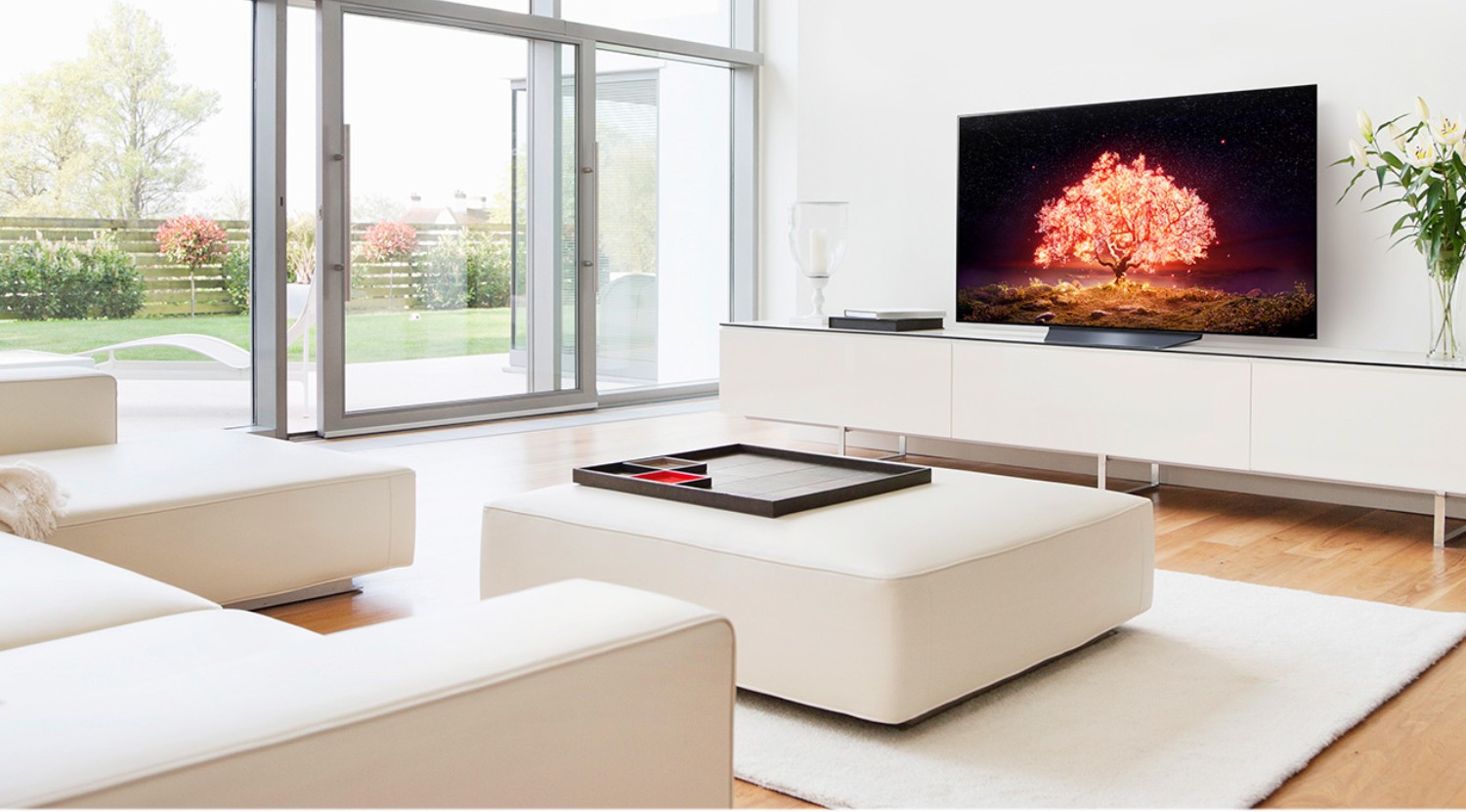 LG   (55 inch) Ultra HD (4K) (OLED55B1PTZ)