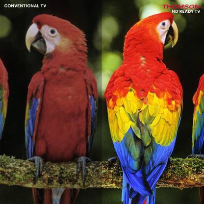 Thomson R9 (32 inch) HD Ready (32TM3290) Thomson R9 (32 inch) HD Ready (32TM3290)