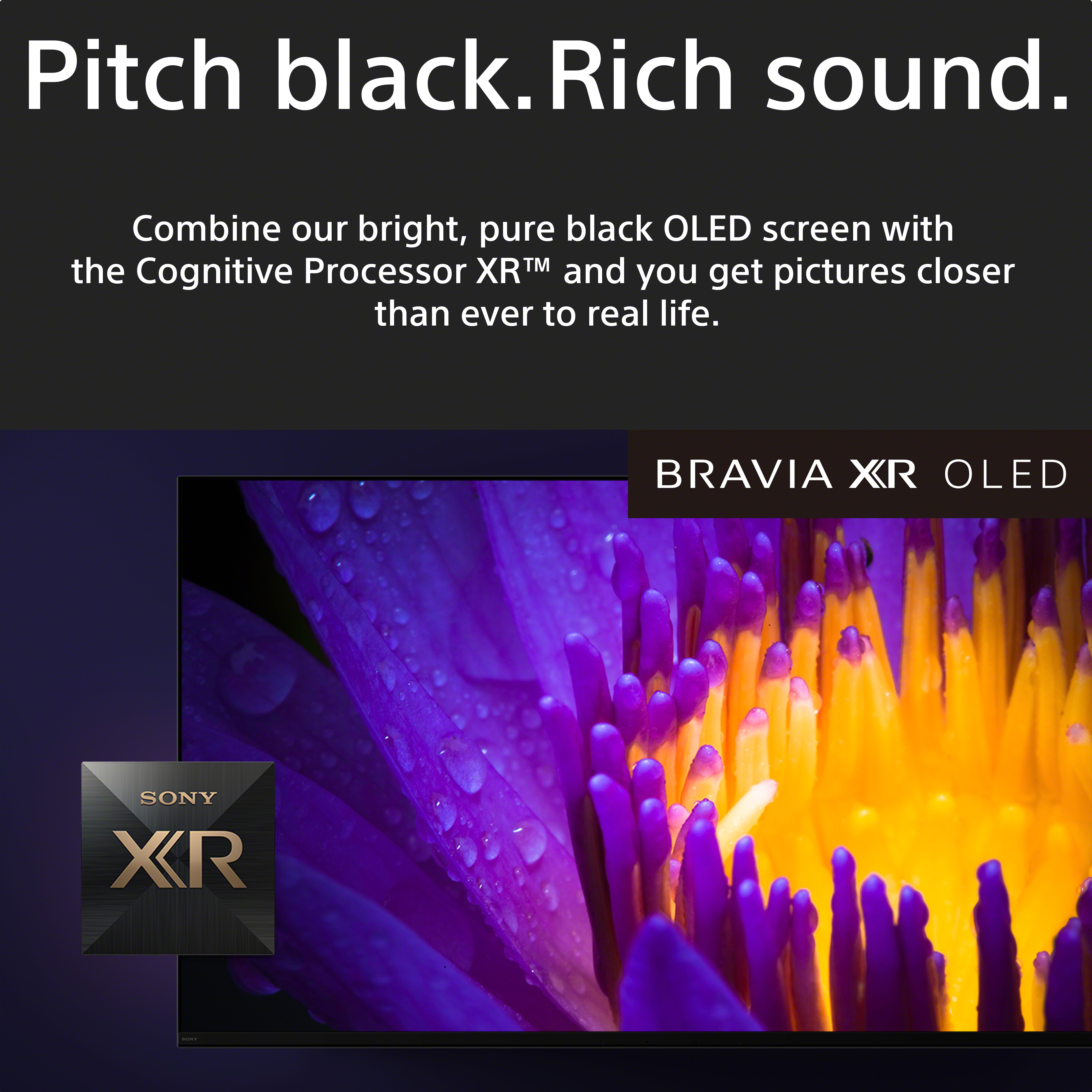SONY A80L (65 inch) Ultra HD (4K) (XR-65A80L) SONY A80L (65 inch) Ultra HD (4K) (XR-65A80L)
