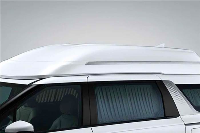 Kia Carnival Hi Limousine roof. 