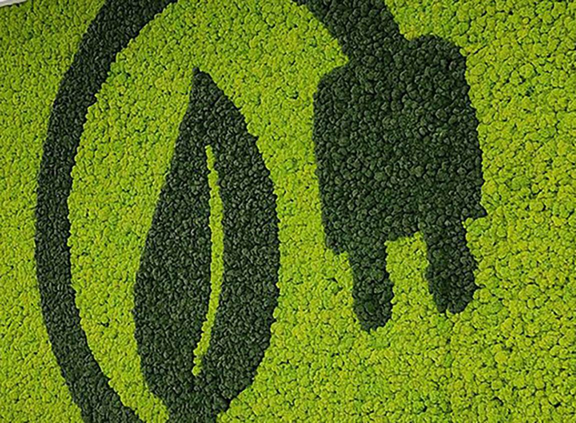 BIS introduces two new safety norms for EV powertrain & batteries | Autocar Professional