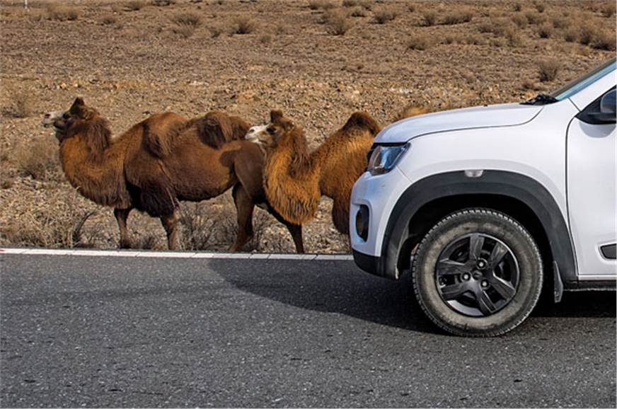 India To Paris In A Renault Kwid Part 3 Journey Into