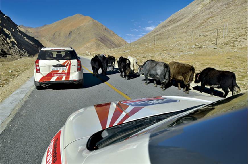 On The Top Of The World Base Camp Everest Feature