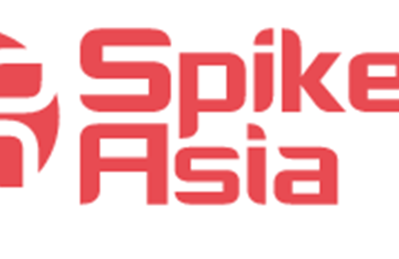 Spikes Asia 2015 announces first set of juries