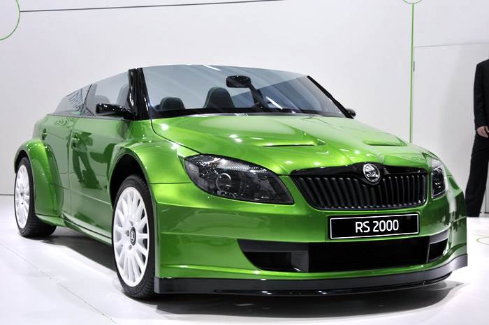 Fabia Monte Carlo, RS 2000 at the Expo