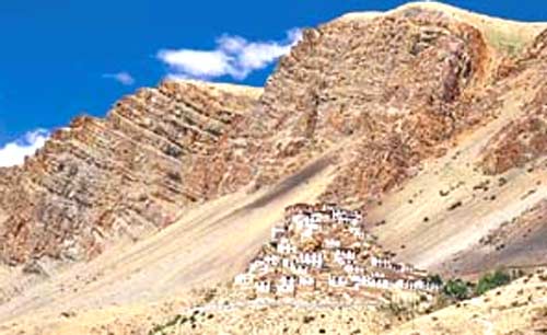 Wild Rajasthan - Image 2