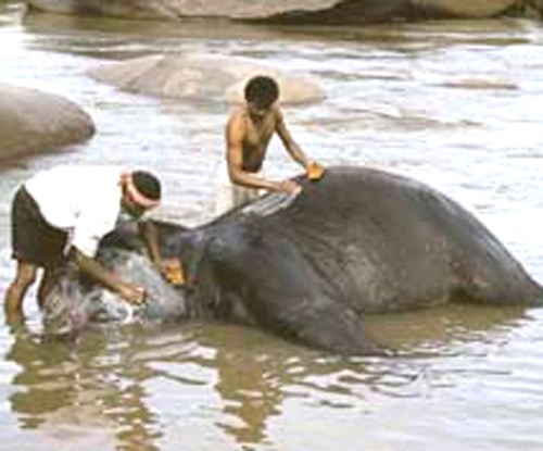 Driving Escapes - Spiti - Image 14