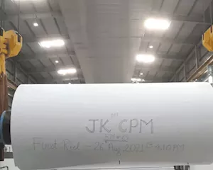 JK Paper up 9% on hopes of recovery in FY25 