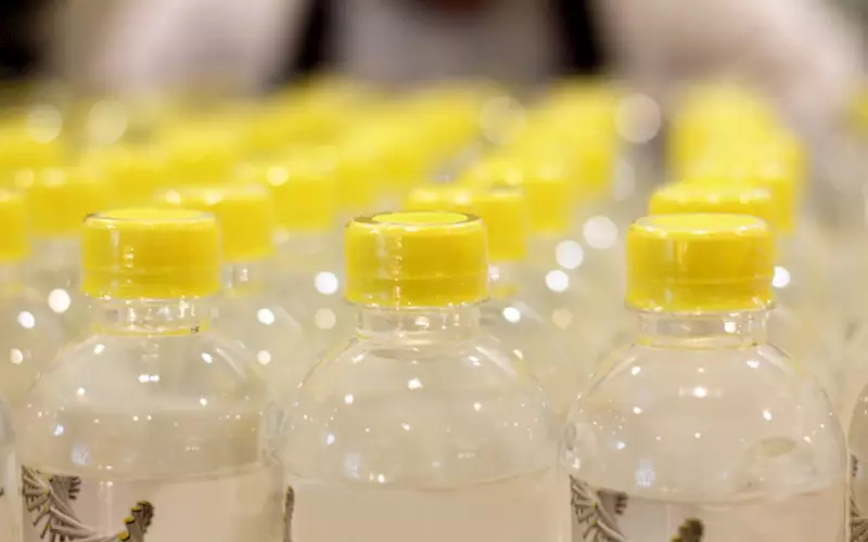 European plastic market looks for alternatives in bioplastic, regulation