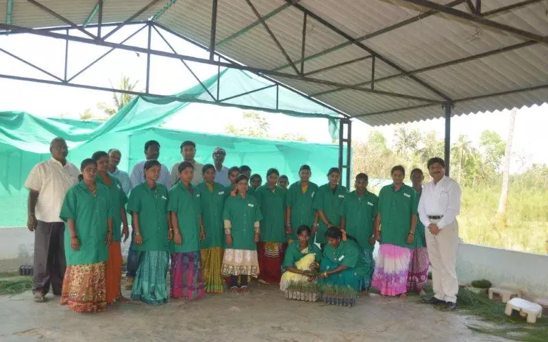IP has launched clonal plantation centres (CPC) to develop superior clonal saplings which can double the productivity of pulpwood as compared to conventional seedling methods. Seen here is the team of Mulagapudi CPC