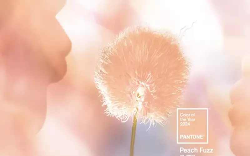 Peach Fuzz named Pantone Colour of the Year