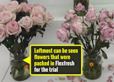 Now, cut flowers bloom in Uflex’s Flexfresh
