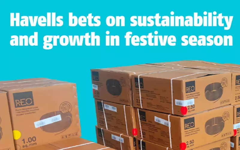 Havells bets on sustainability and growth in festive season - The Noel D'Cunha Sunday Column