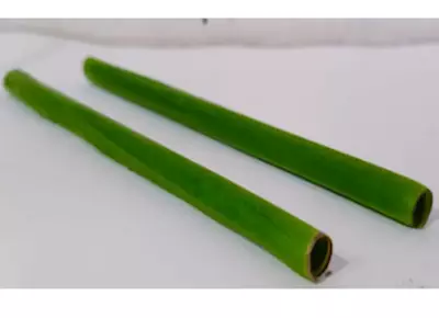  IIP student talks about sustainable straws using banana leaves