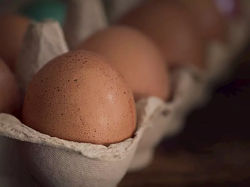 Danish egg packaging major Hartmann acquires Mohan Fibre