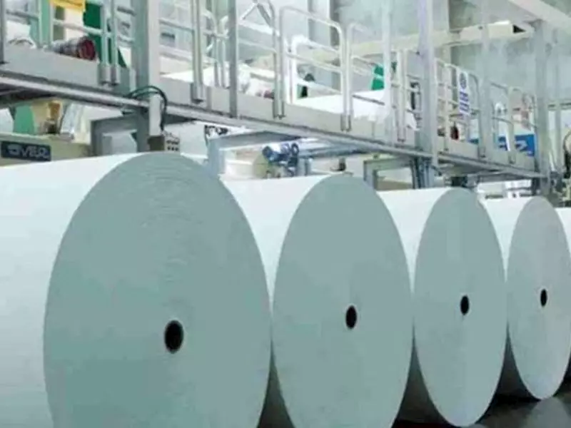   Paper makers expected to experience declining revenue: Crisil
