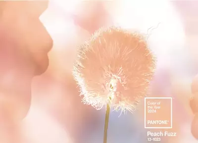 Peach Fuzz named Pantone Colour of the Year