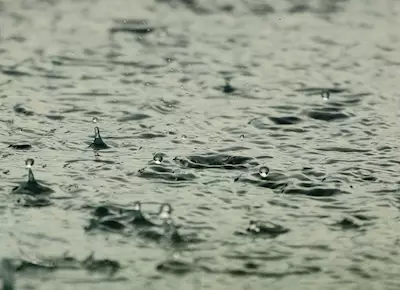 Mumbai rain woes: Printers face loss due to waterlogging