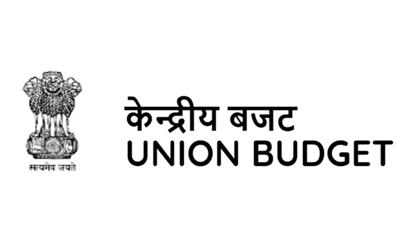 Industry insiders react to Union Budget 2019