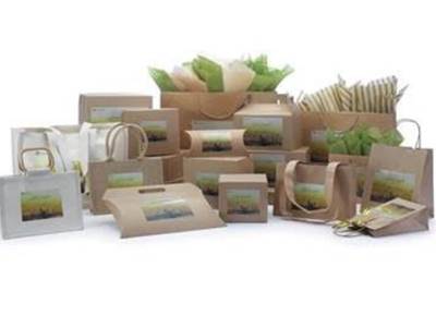 Green packaging market is to be valued at USD 546.4-bn by 2032