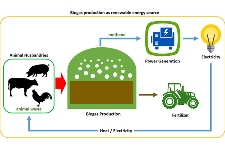 Suzuki Motor and National Dairy Development Board sign MoU to study  commercialisation of biogas