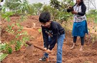 Continental celebrates 150th year by planting 150,000 trees across India 