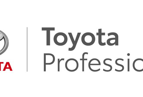 Toyota Professional targets European LCV market