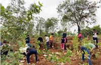 Continental launched its 150,000 tree plantation drive across India, spread over locations with its manufacturing footprint – Bengaluru, Pune, Gurugram, Kolkata, Sonepat, and Modipuram. 