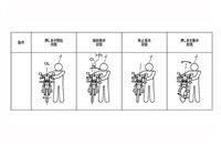 Honda bikes could get self balancing tech