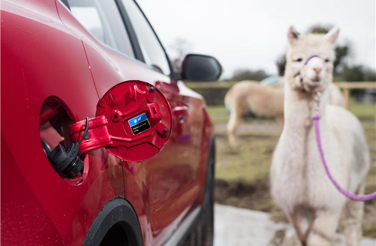 MG Motor says alpaca waste has been specifically chosen as it doesn’t need to be aged before it can be transformed into a useable fuel.